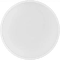 Умный светильник Xiaomi Smart Ceiling Light D40 BHR9933GL
