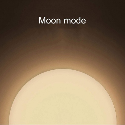 Потолочный светодиодный светильник Xiaomi Mi Smart LED Ceiling Light (MJXDD01SYL)