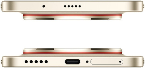 Смартфон Huawei nova 15 Max CHZ-LX1 Dual SIM 8GB/256GB Международная версия золотистый
