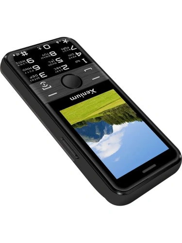 Кнопочный телефон Xenium X800 черный/серый