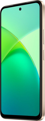 Смартфон Infinix Smart 10 X6725D 4GB/128GB золотистый