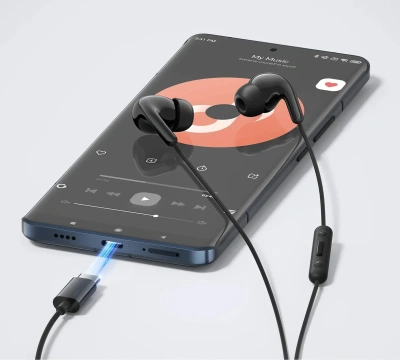 Наушники Xiaomi Type-C Earphones M2413E1 Международная версия Черный