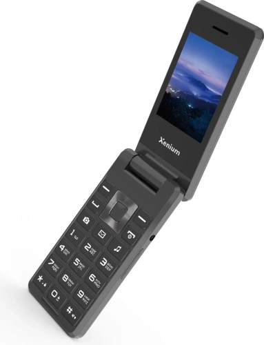 Кнопочный телефон Xenium X600 темно-серый