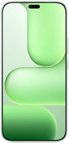 Смартфон HONOR 600 Lite 8GB/256GB Международная версия,зеленый