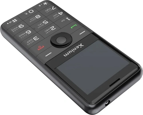Кнопочный телефон Xenium X700 черный